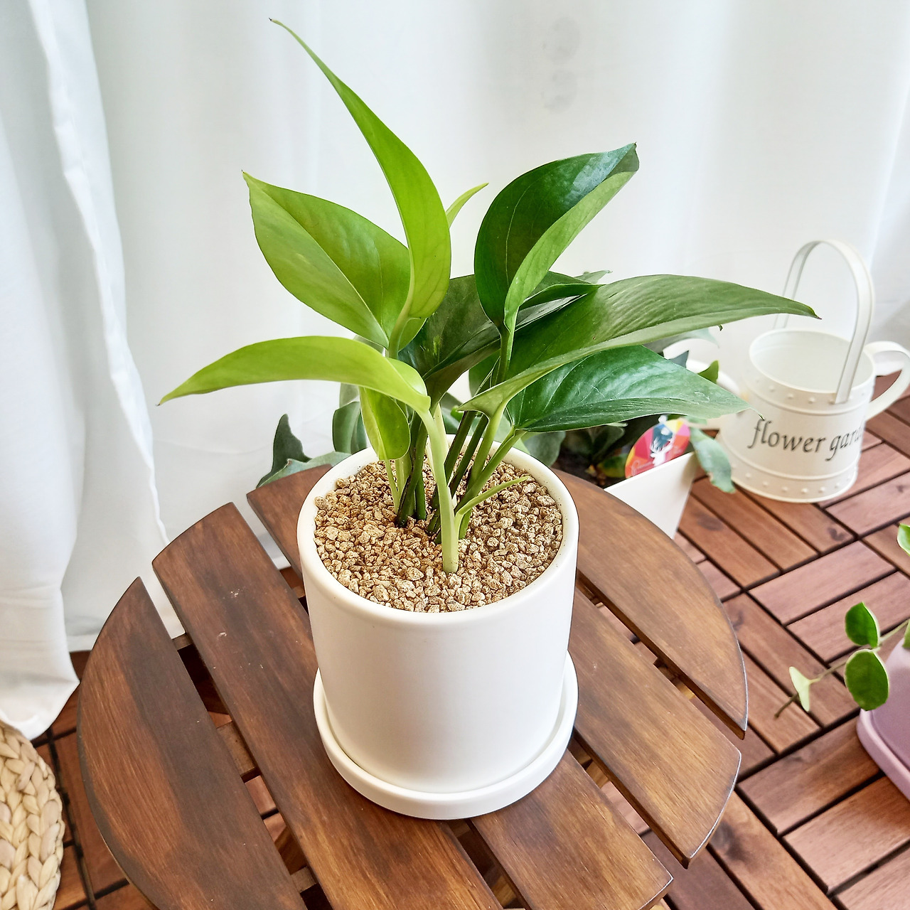 1 20210702_142423.jpg