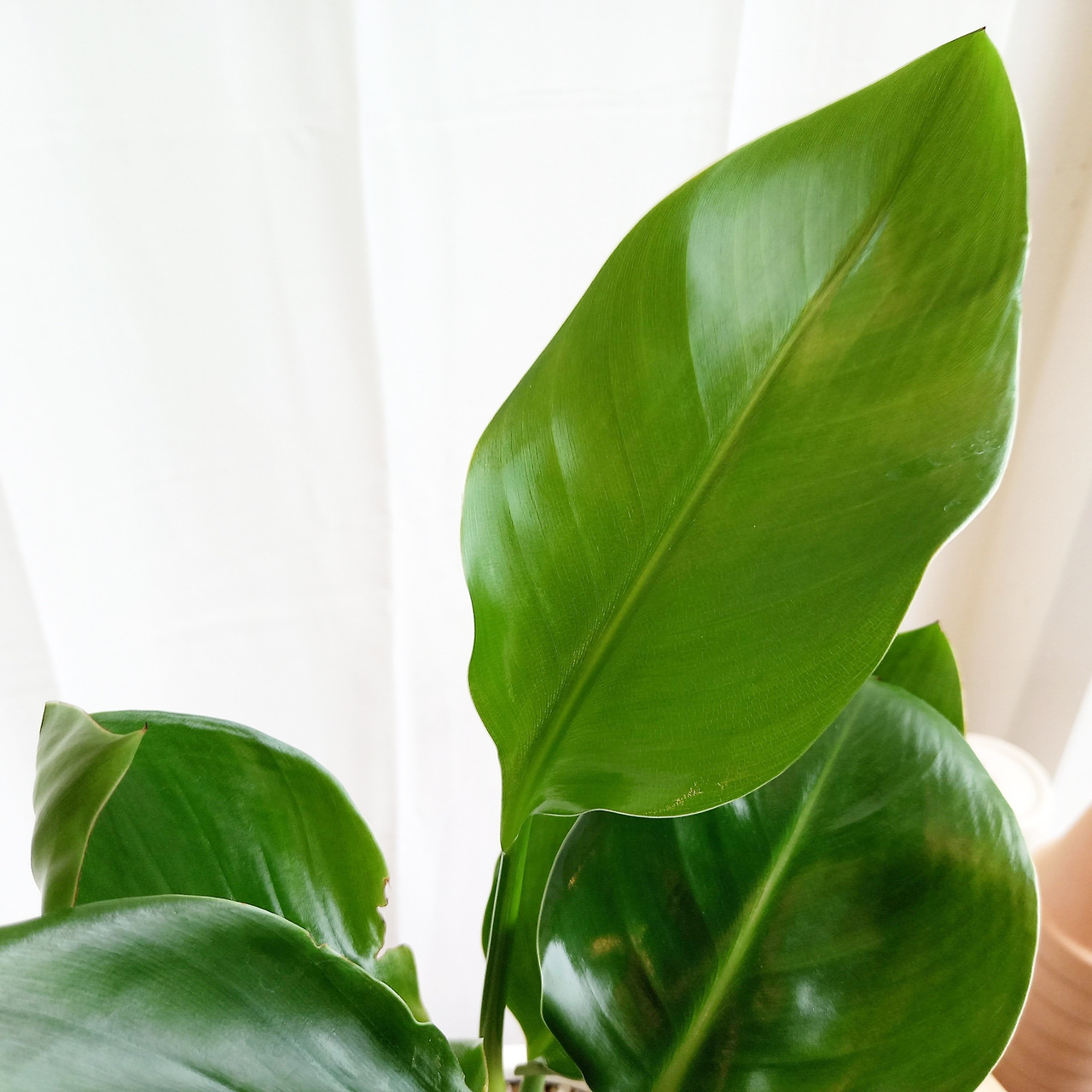 1 20220829_142403.jpg