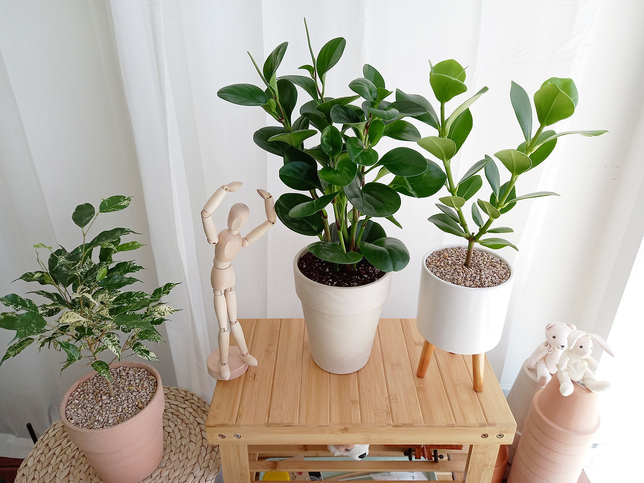 1 20220907_121507.jpg