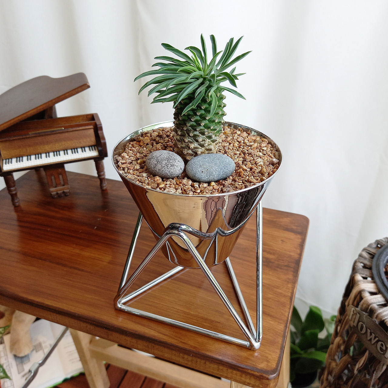 1 20210701_130725.jpg