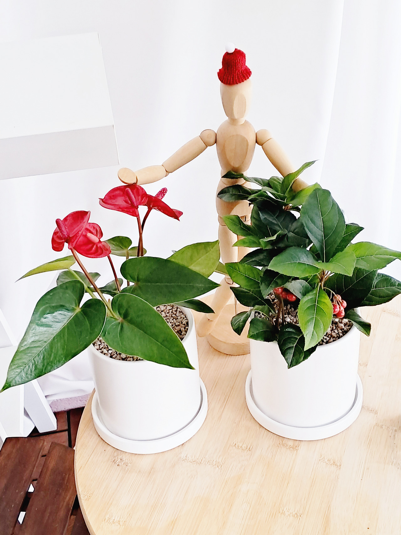 1 20231128_153727.jpg