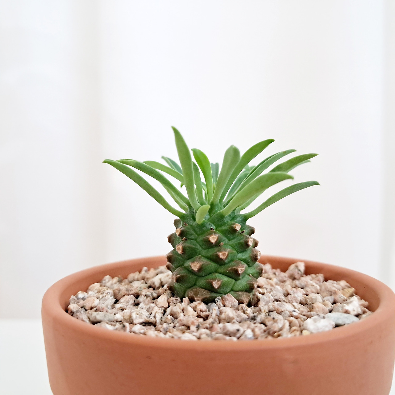 1 20230920_140336.jpg