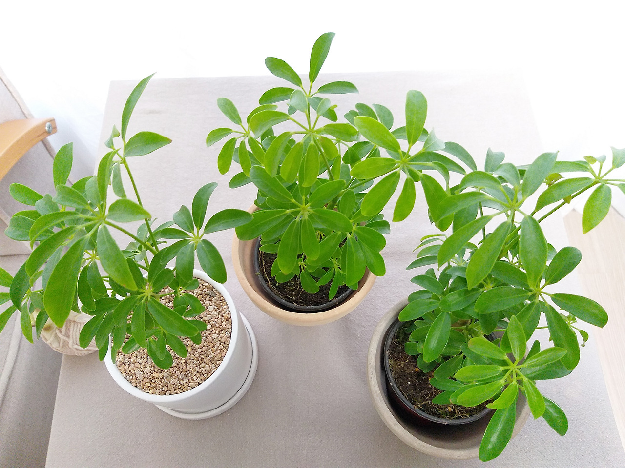 1 20210115_165805.jpg