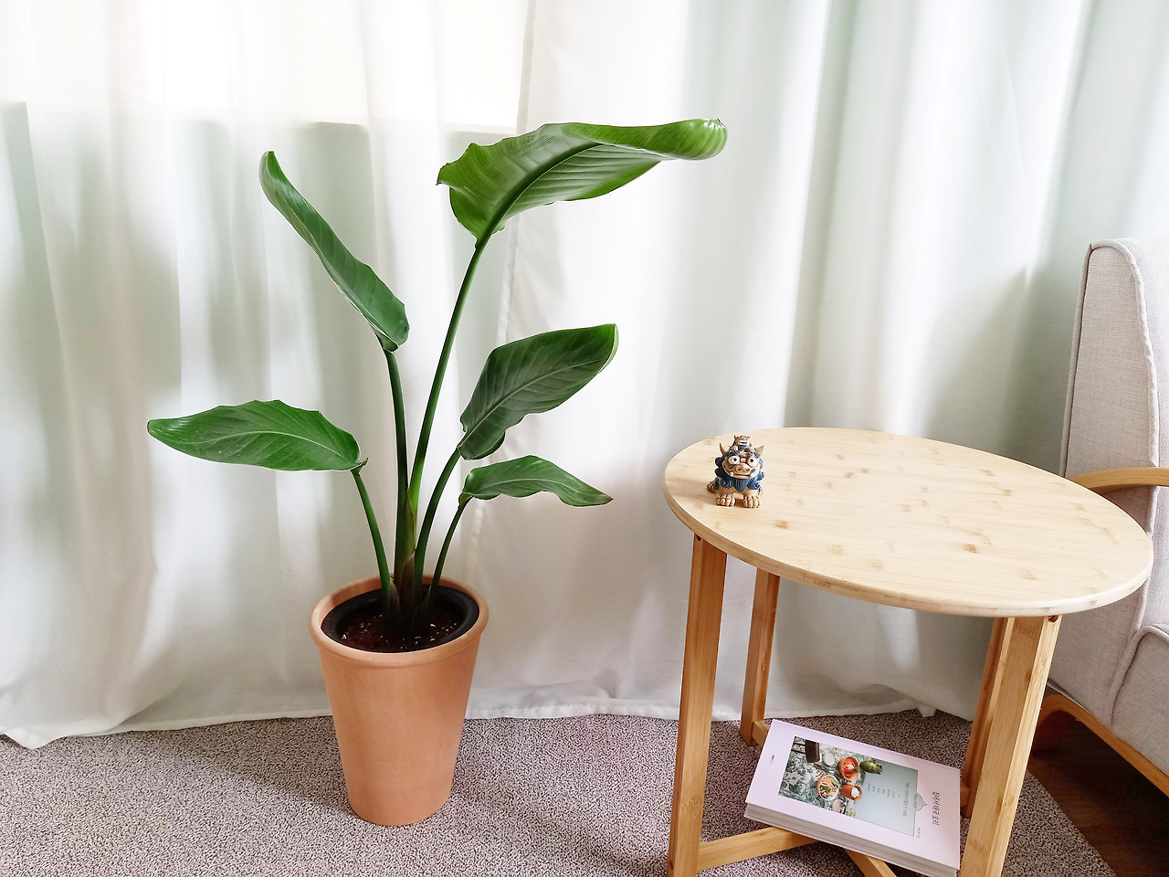 1 20220825_110816.jpg