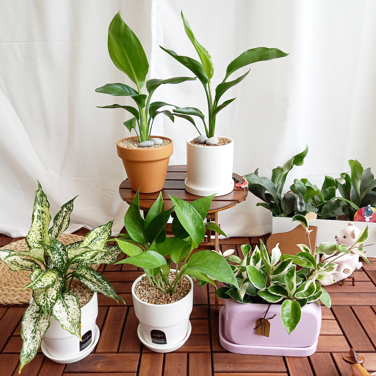 1 20210706_124359.jpg