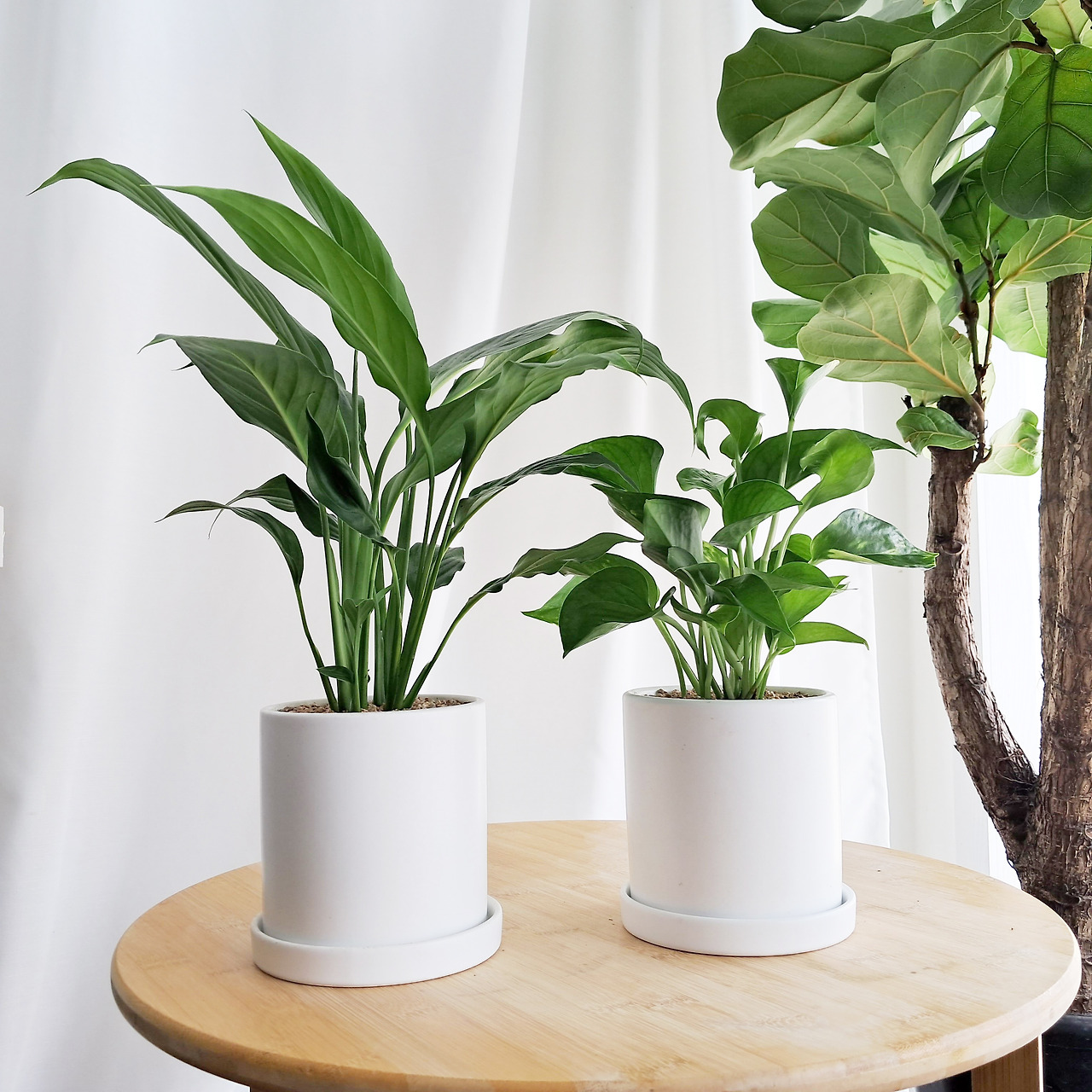 1 20231012_132329.jpg