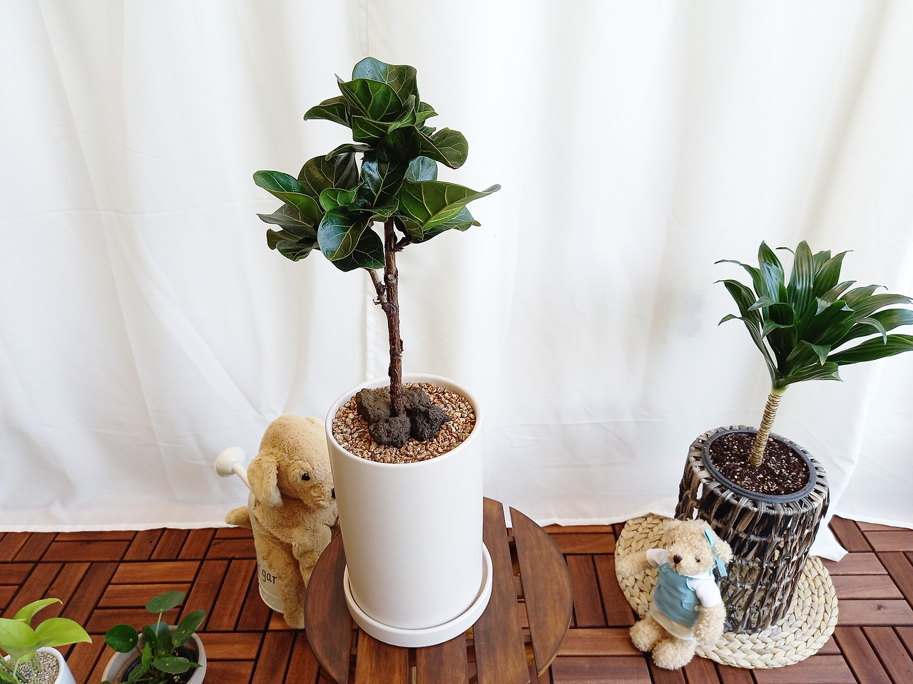 1 20210621_140557.jpg