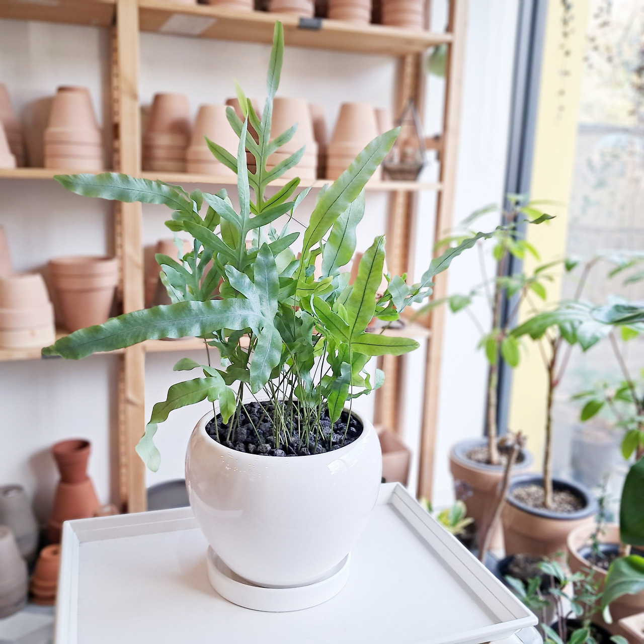 1 20231023_150043.jpg