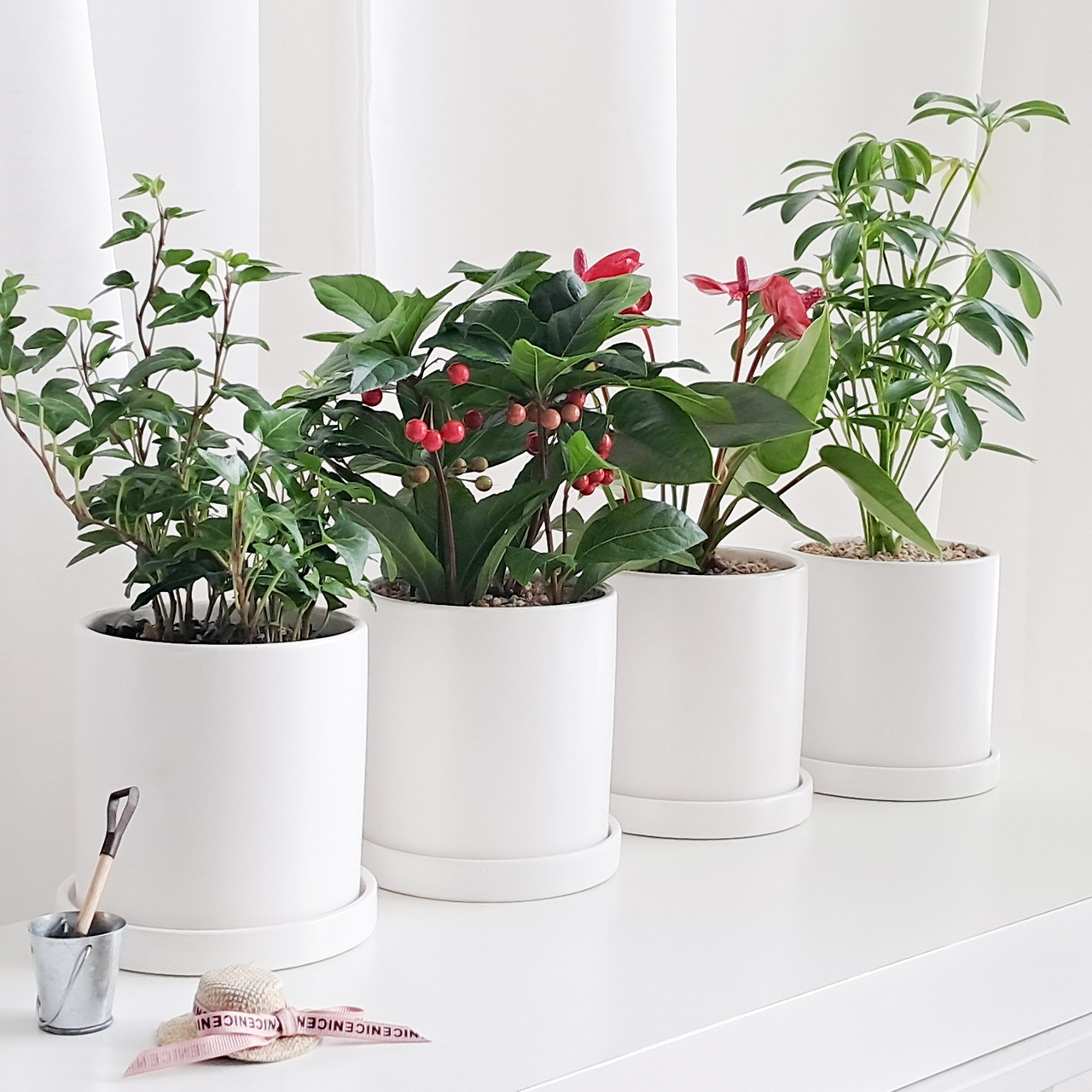 1 20231205_142008.jpg