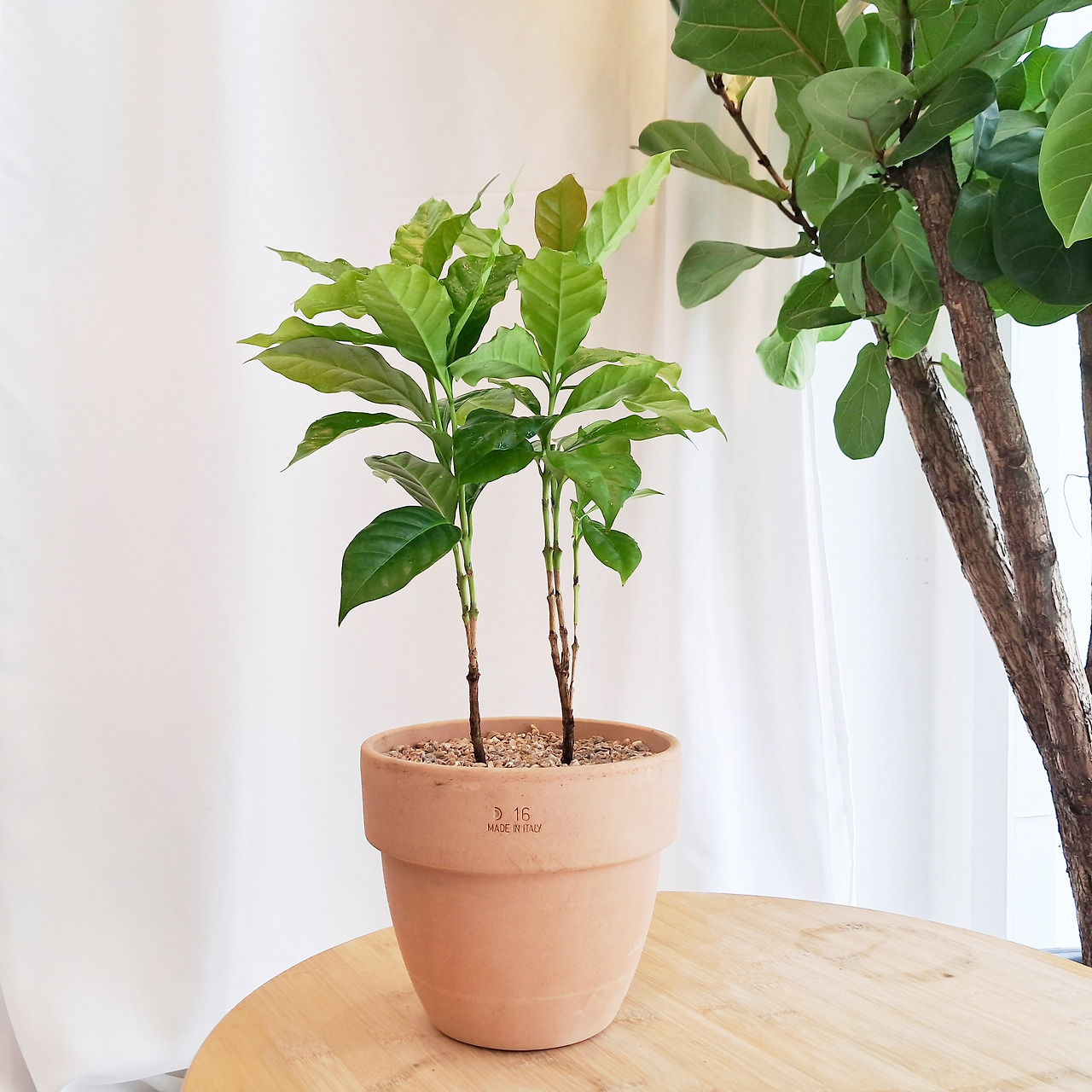 1 20230914_131049.jpg