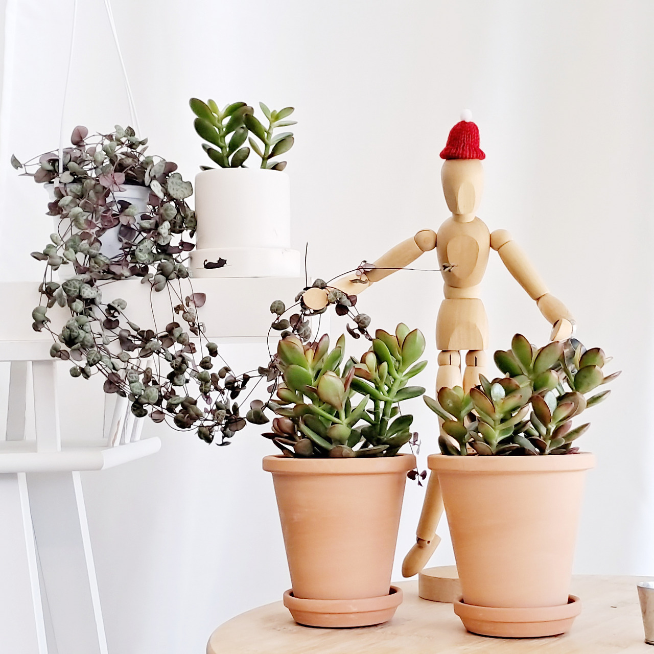 1 20231120_150939.jpg