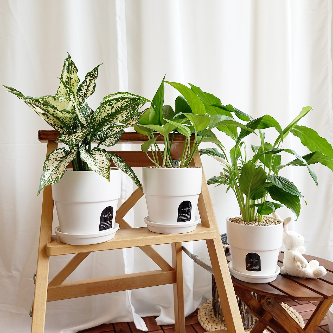 1 20210630_132302.jpg