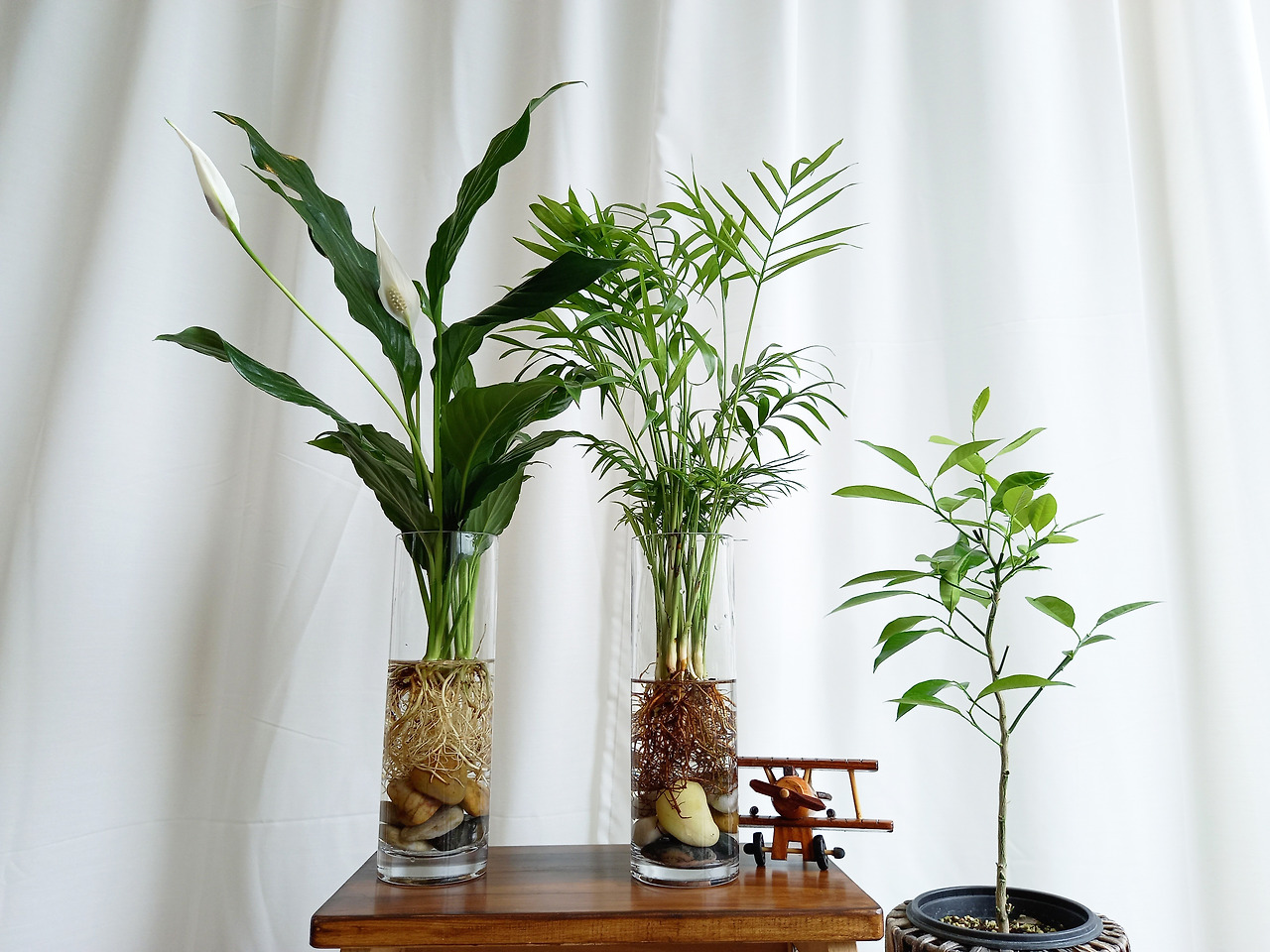 1 20210618_121819.jpg