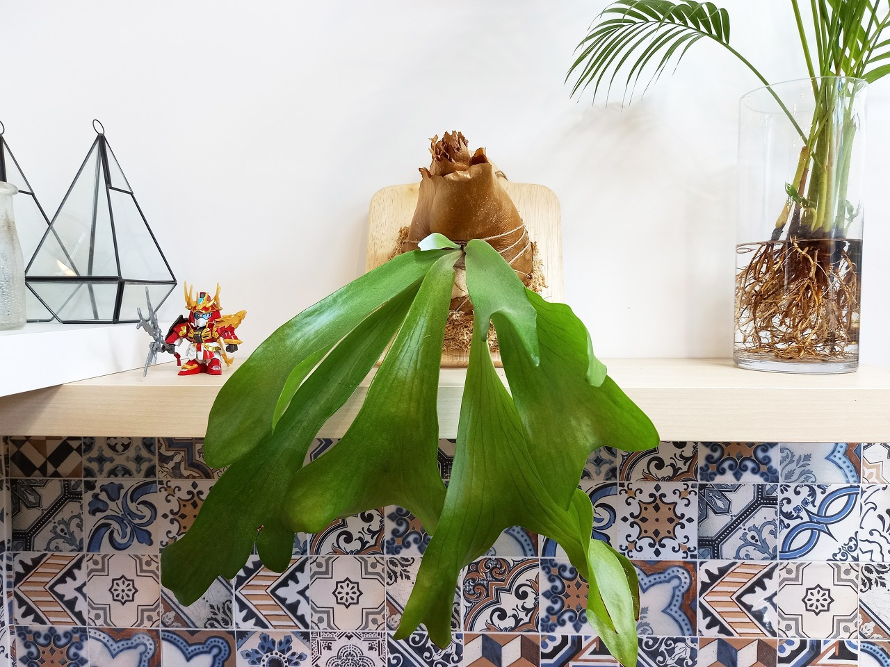 다운로드 (1).jpg