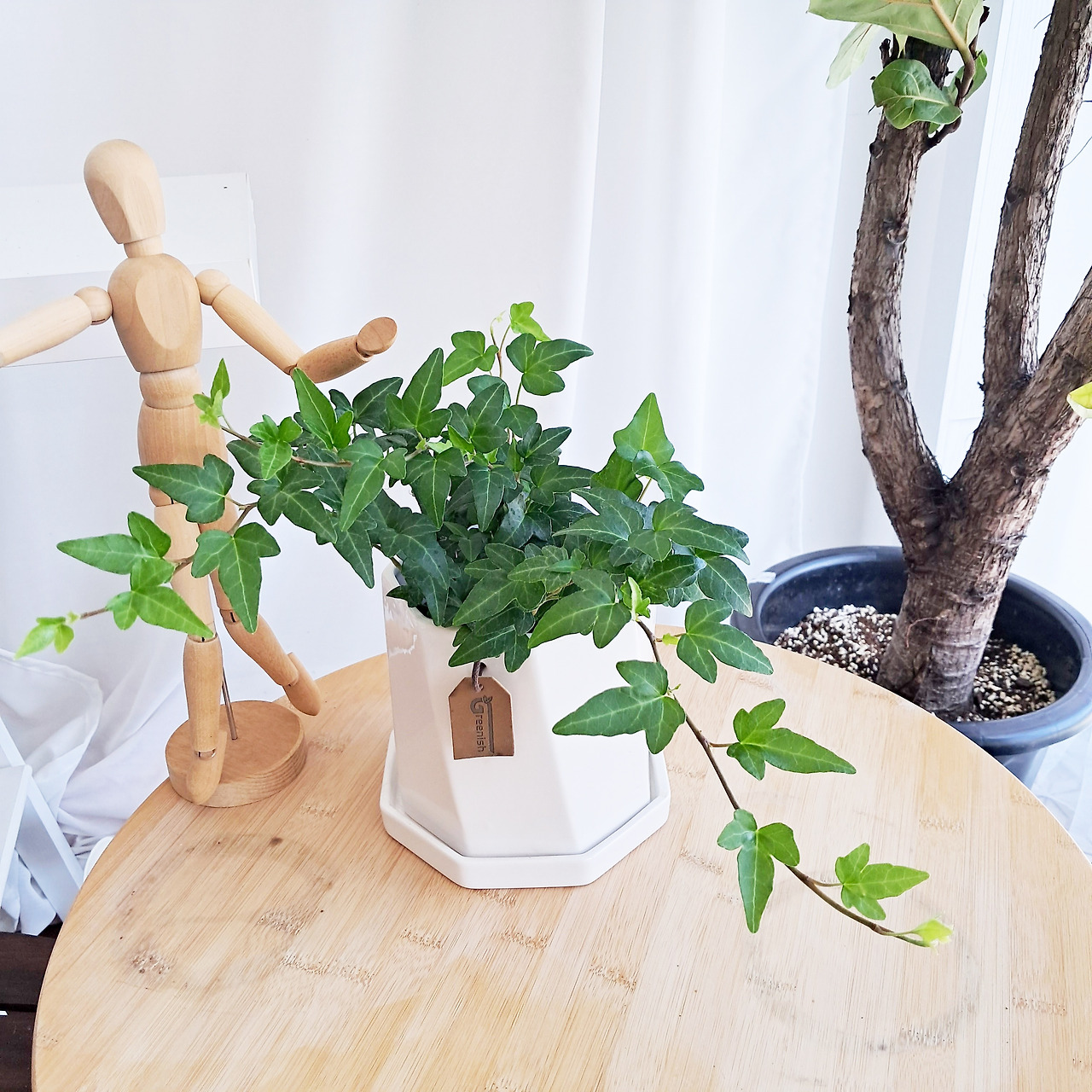 1 20231016_144655.jpg