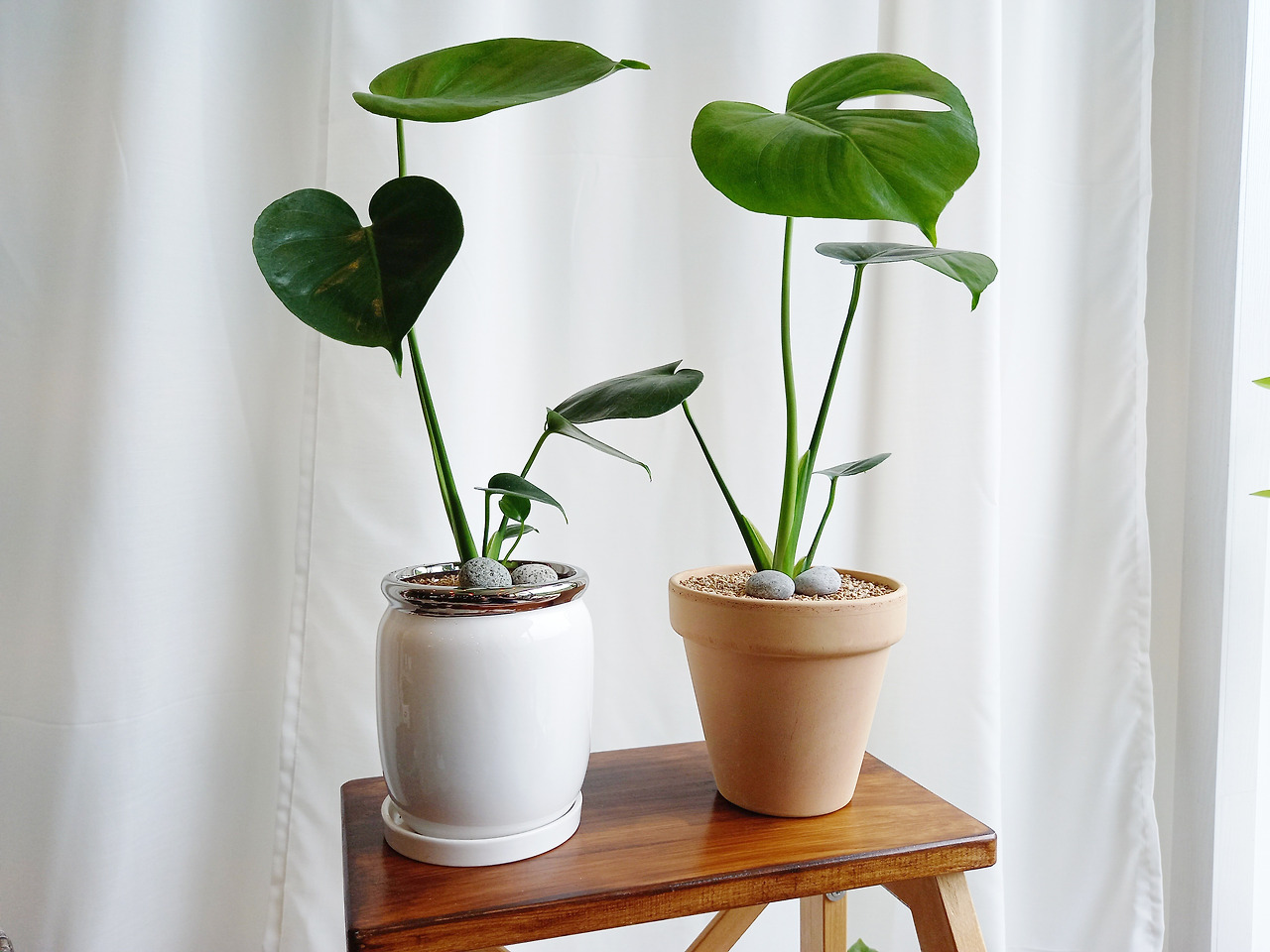 1 20210708_121200.jpg