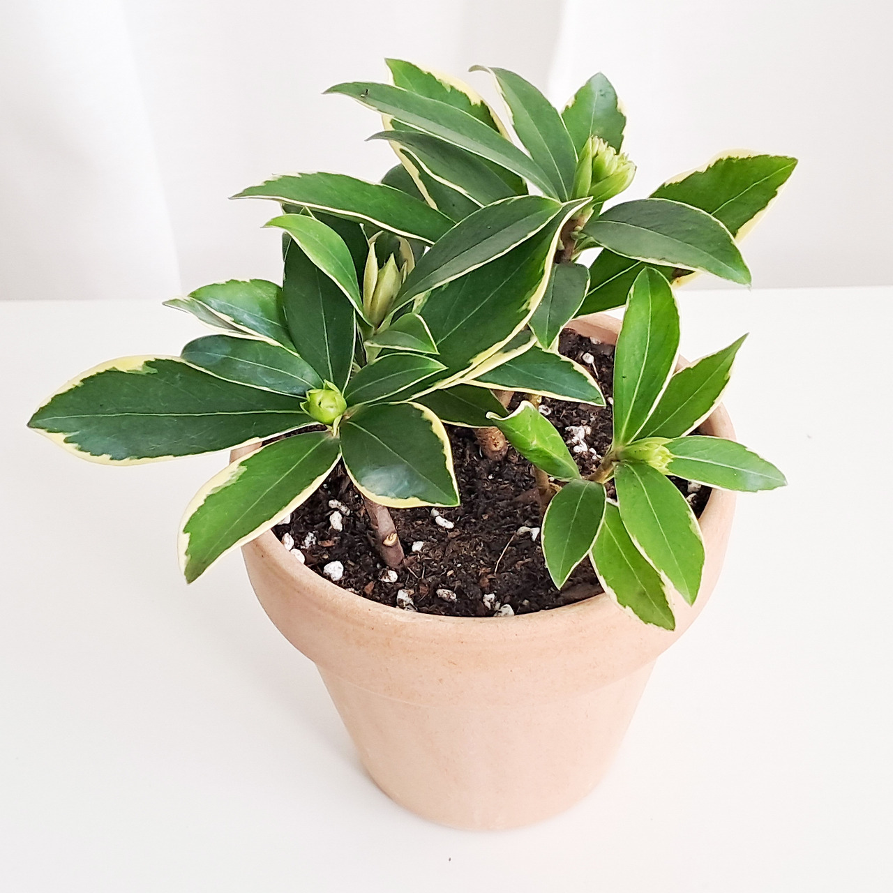 1 20240105_122830.jpg