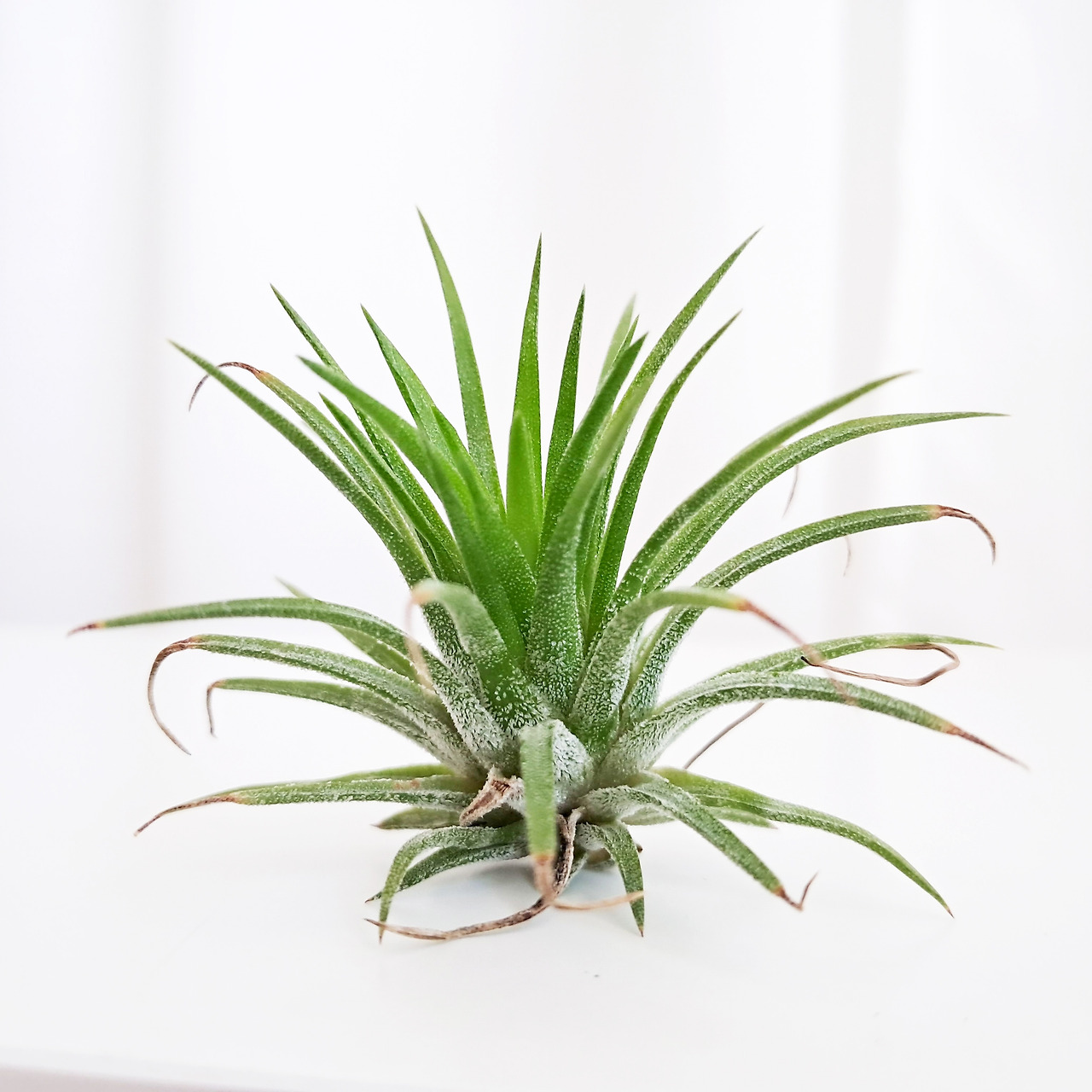 1 20231005_150642.jpg