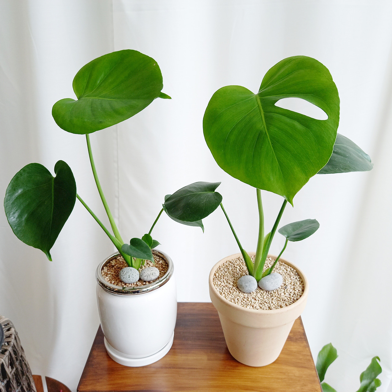 1 20210708_121310.jpg