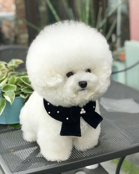 다운로드 (1).jpg