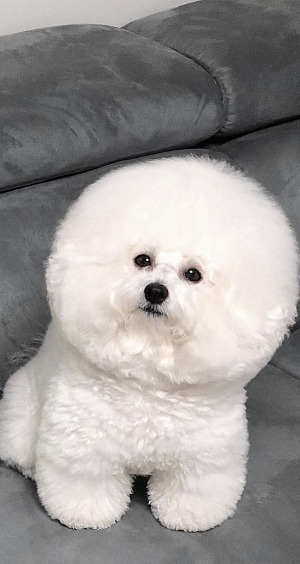 다운로드 (2).jpg