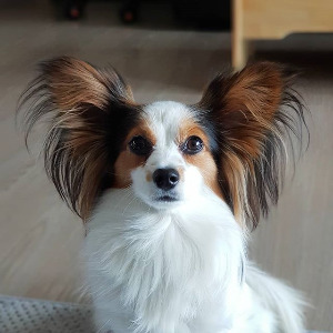 다운로드 (3).jpg