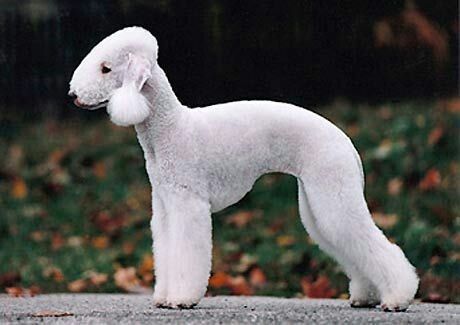 다운로드 (4).jpg