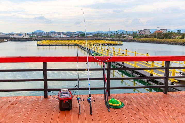 image_7995243121639559302808 (1).jpg