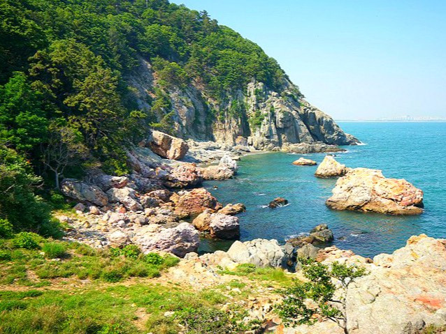 image_245562191623128852635 (1).jpg