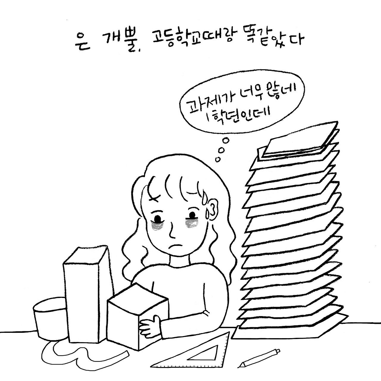 대학교2.jpg