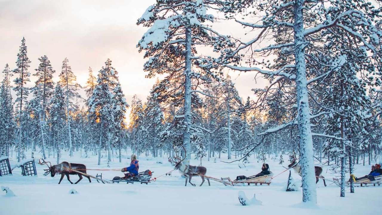 kakslauttanen_reindeer_safari_2_1366x768.jpg