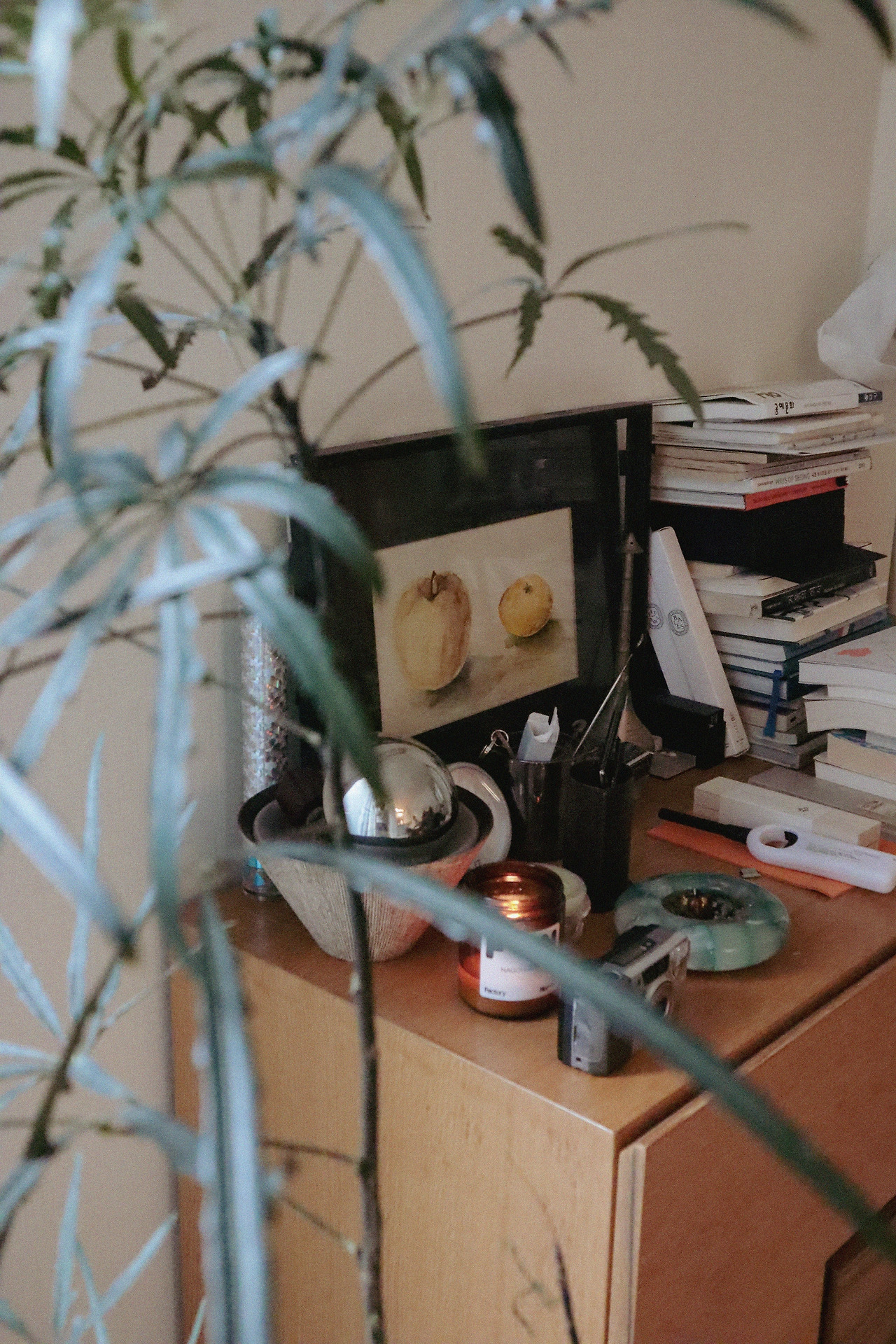 파일 20.jpg