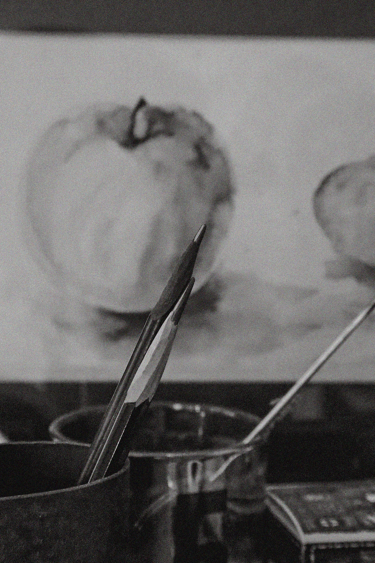 파일 24.jpg