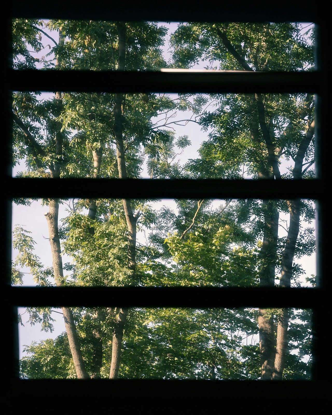green-therapy-window-view.jpg.jpg