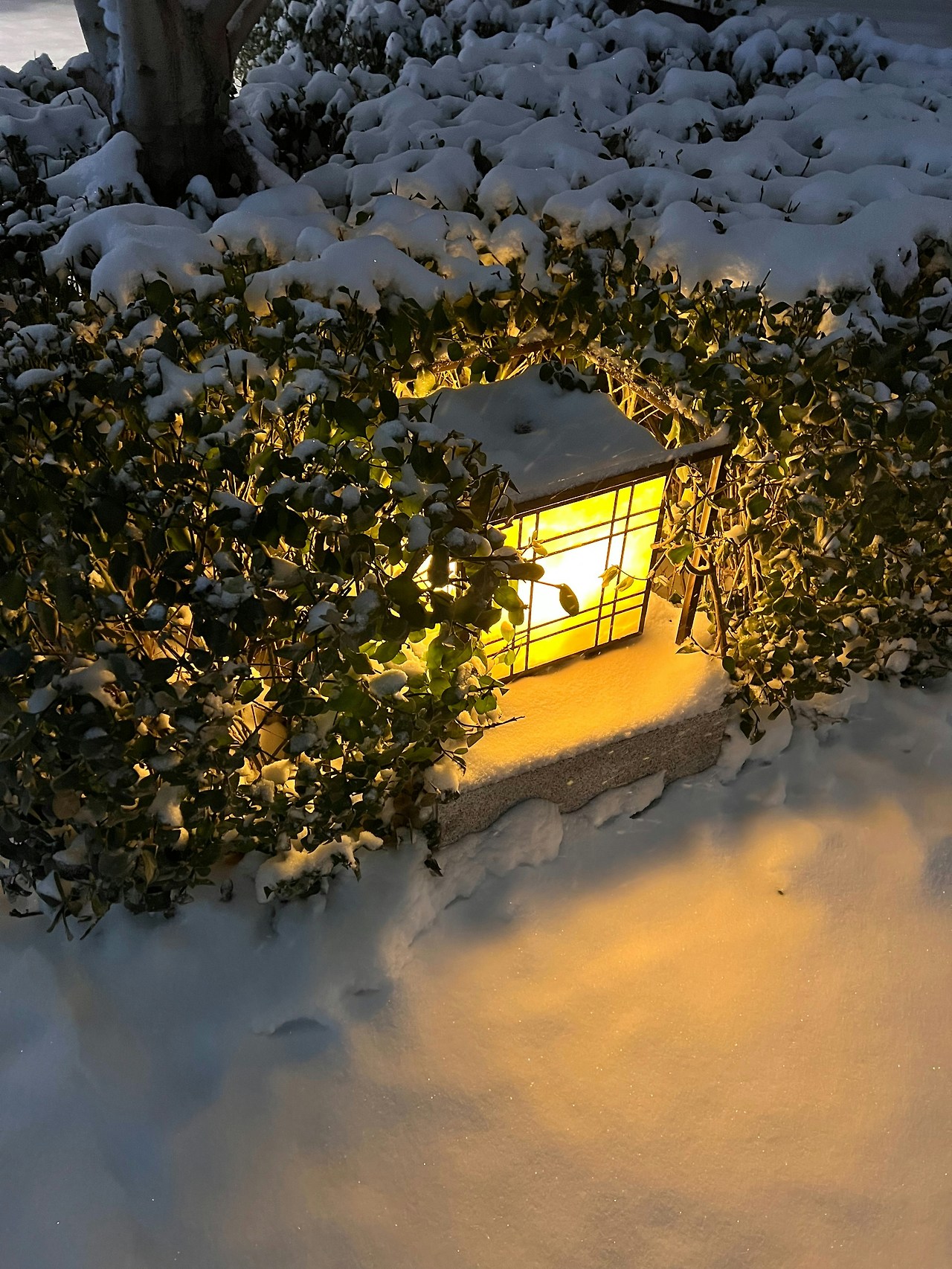 snowyard-lantern-light.jpg.jpg