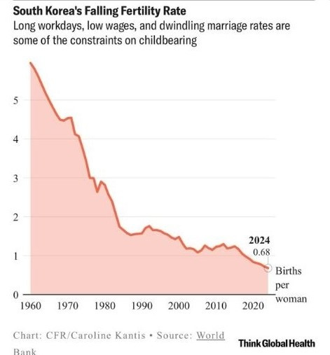 화면 캡처 2024-12-01 214206.jpg