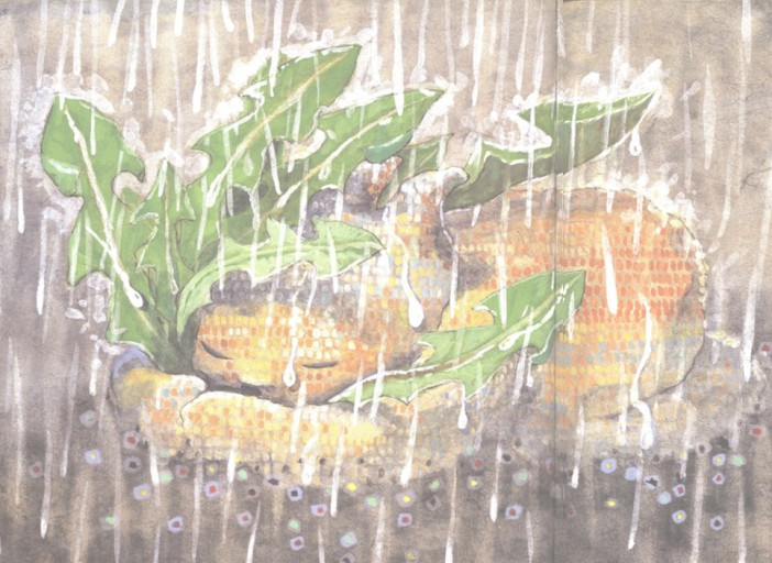 다운로드 (13).jpg