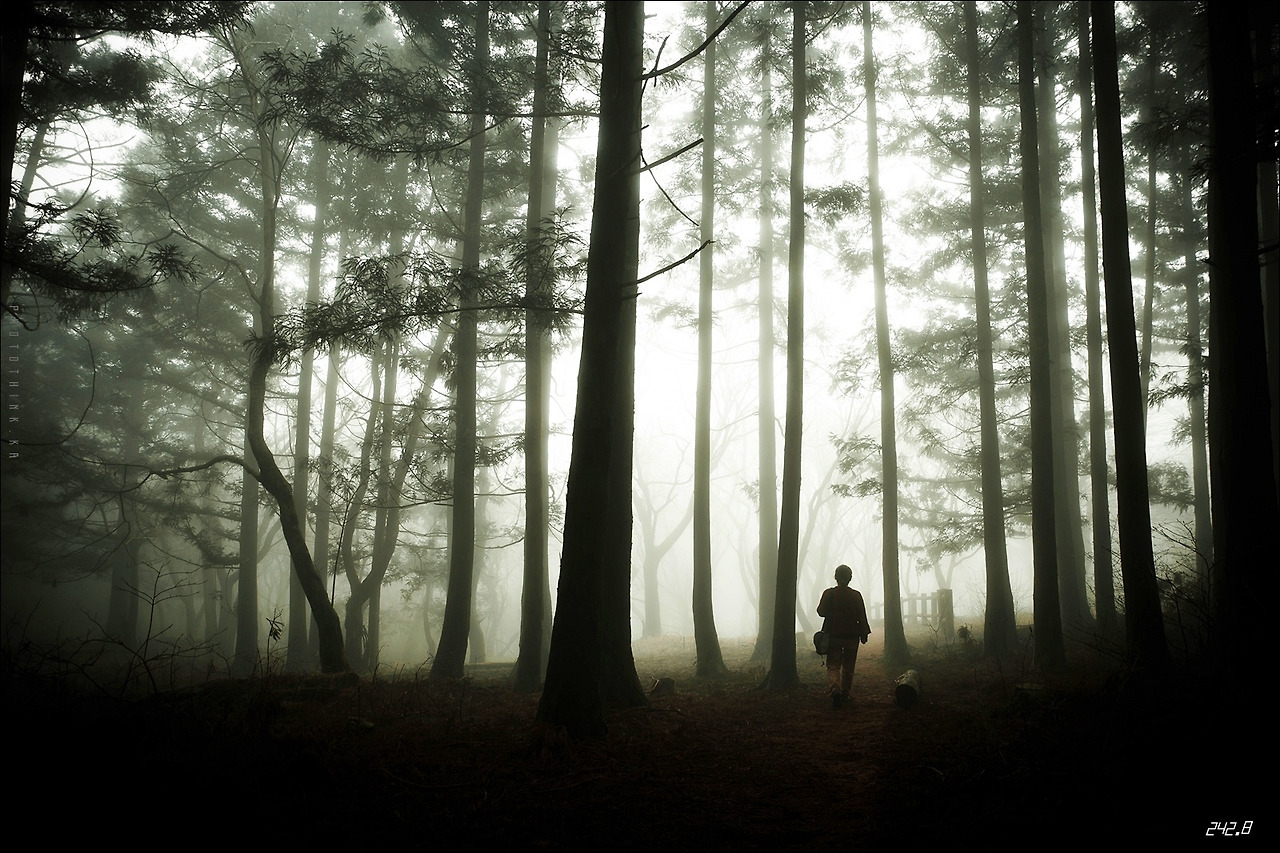 B20170408-082211-LR_5D_40640 2.jpg