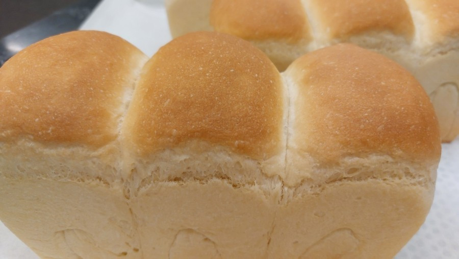 다운로드 (4).jpg