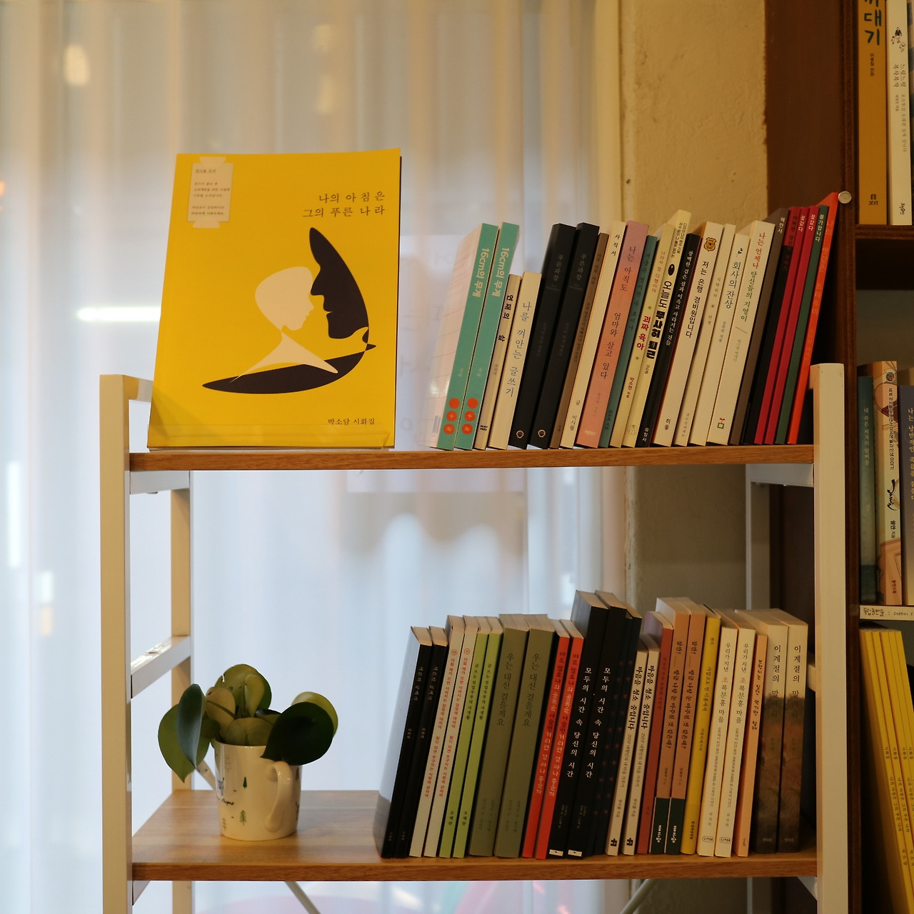 사진2_책방사진.jpg