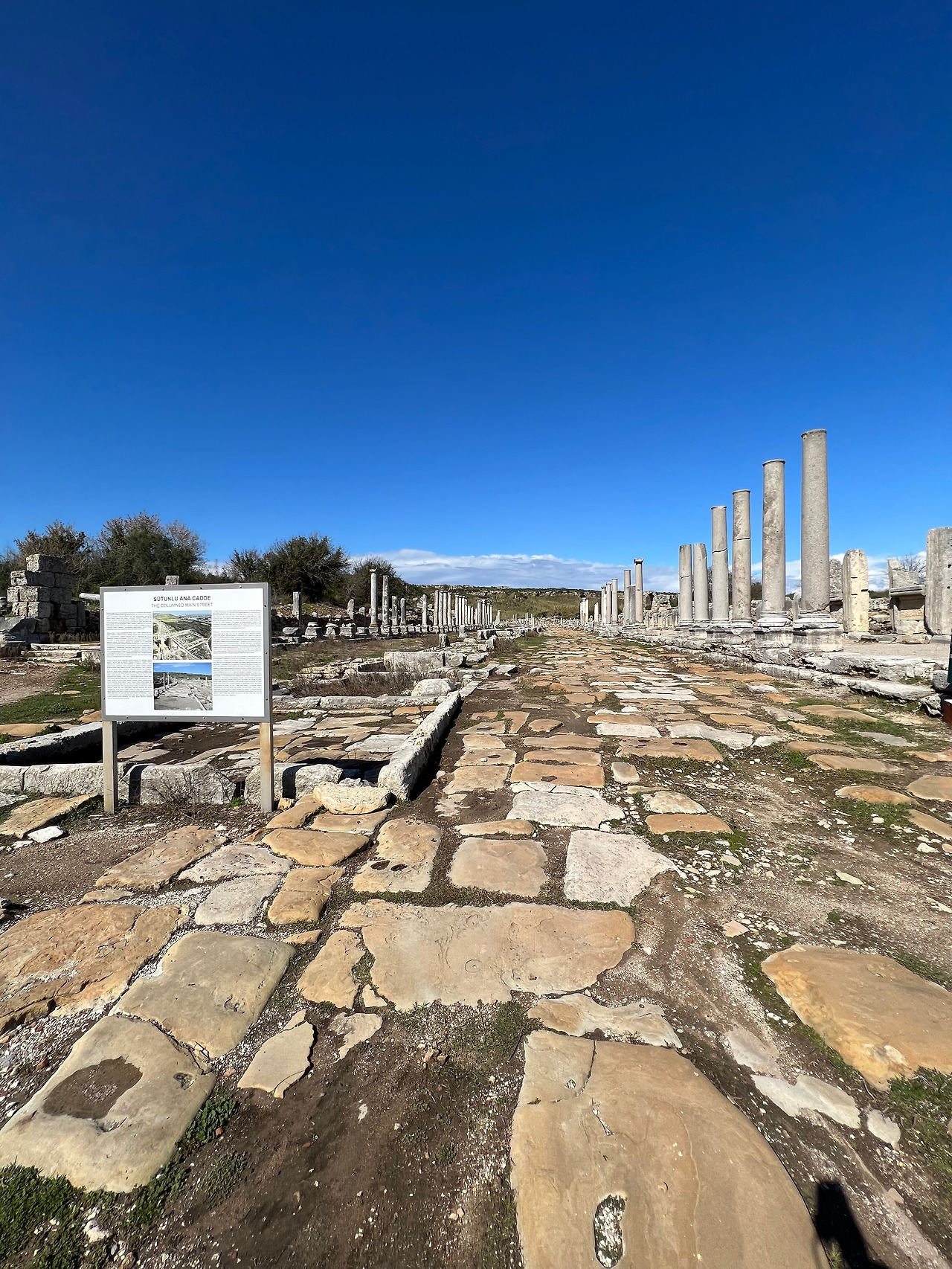 IMG_2851 복사본.jpg