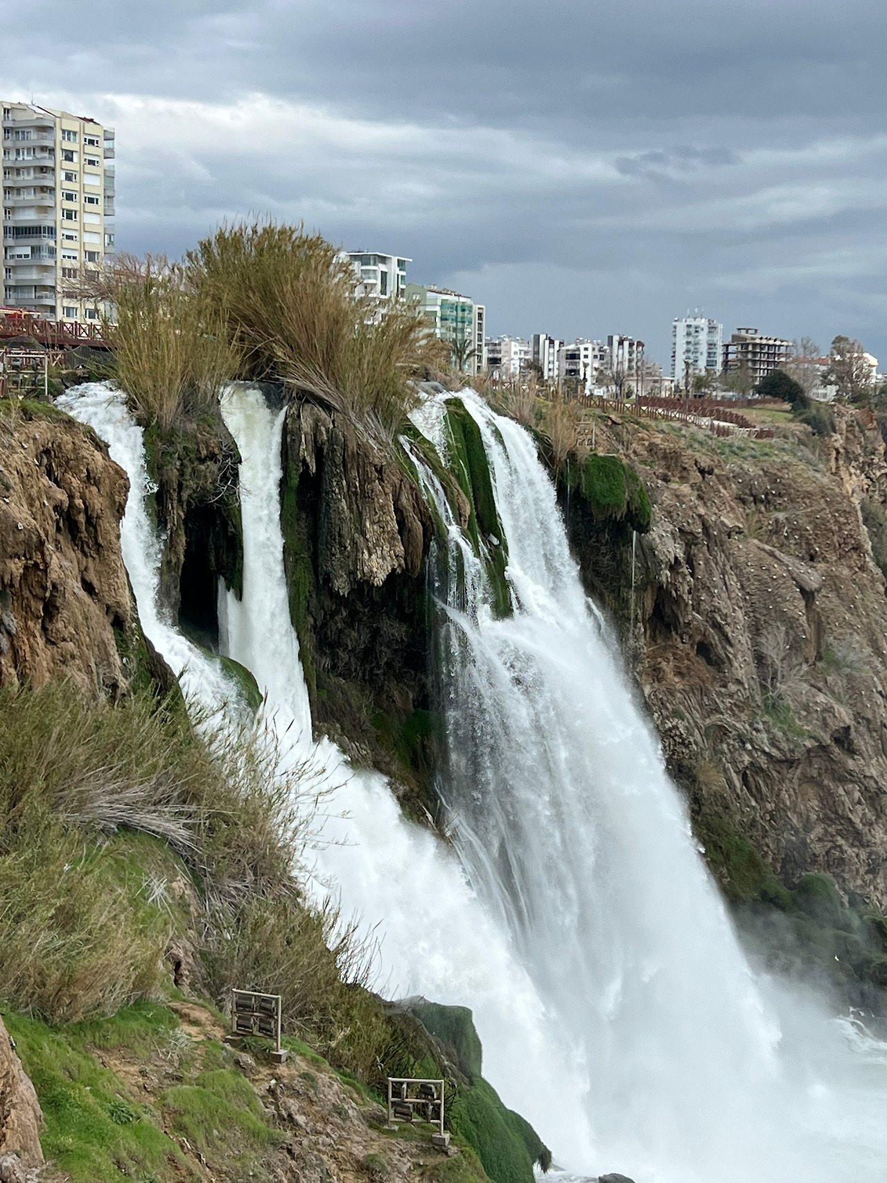 IMG_2724 복사본.jpg