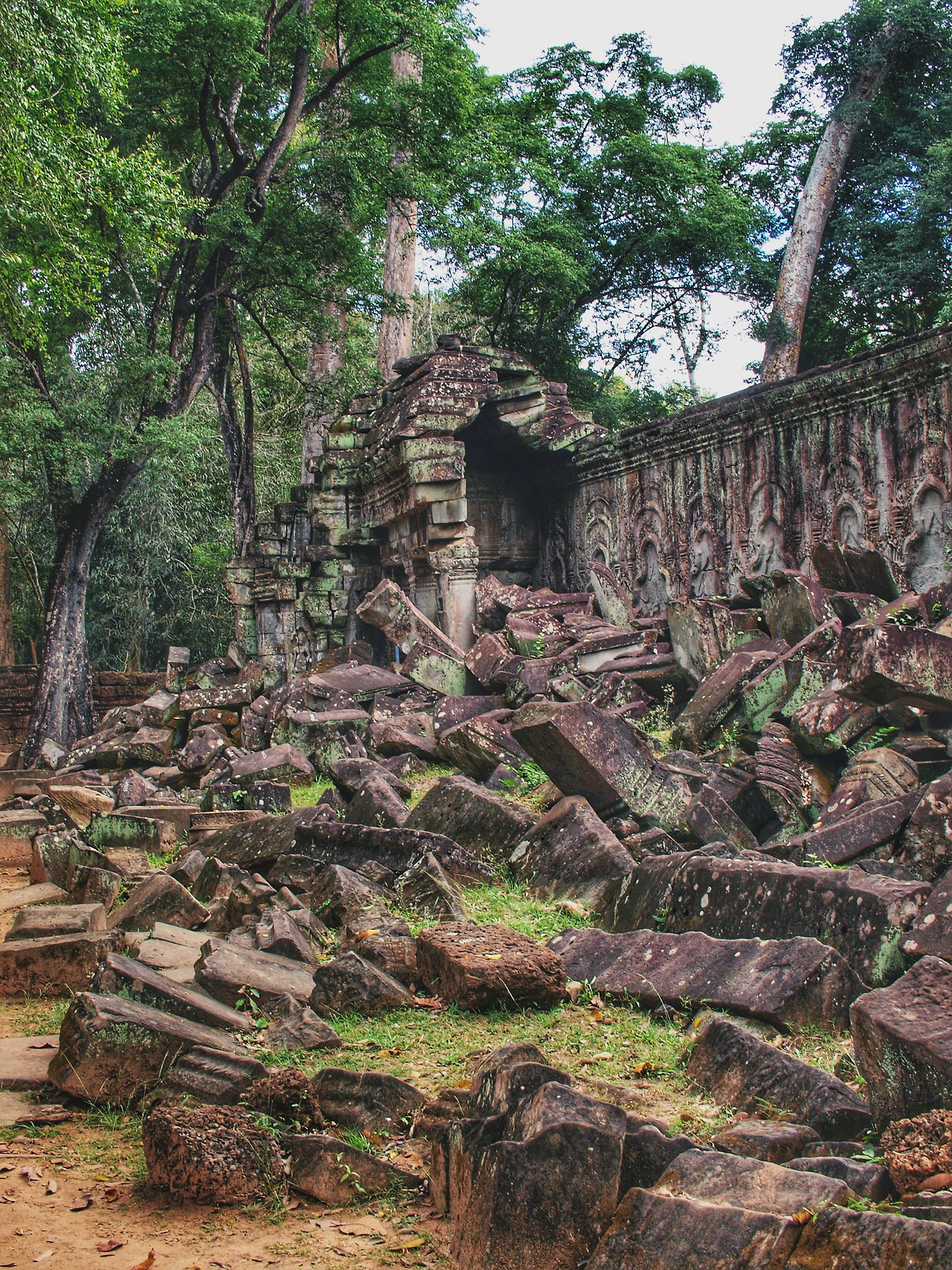 Photo Jan 16, 3 39 15 PM.jpg