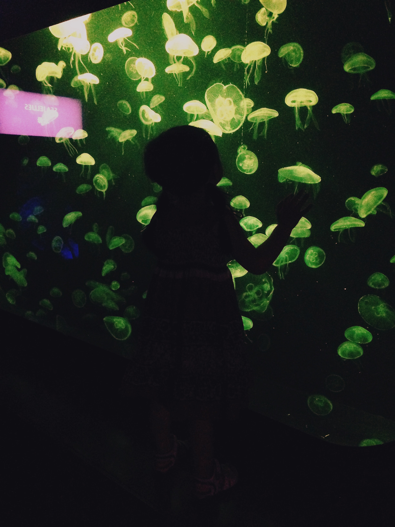 Photo Aug 13, 12 18 18 PM.jpg