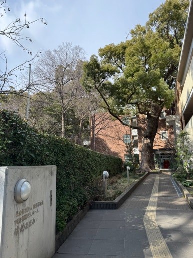 카지노 게임 사이트
