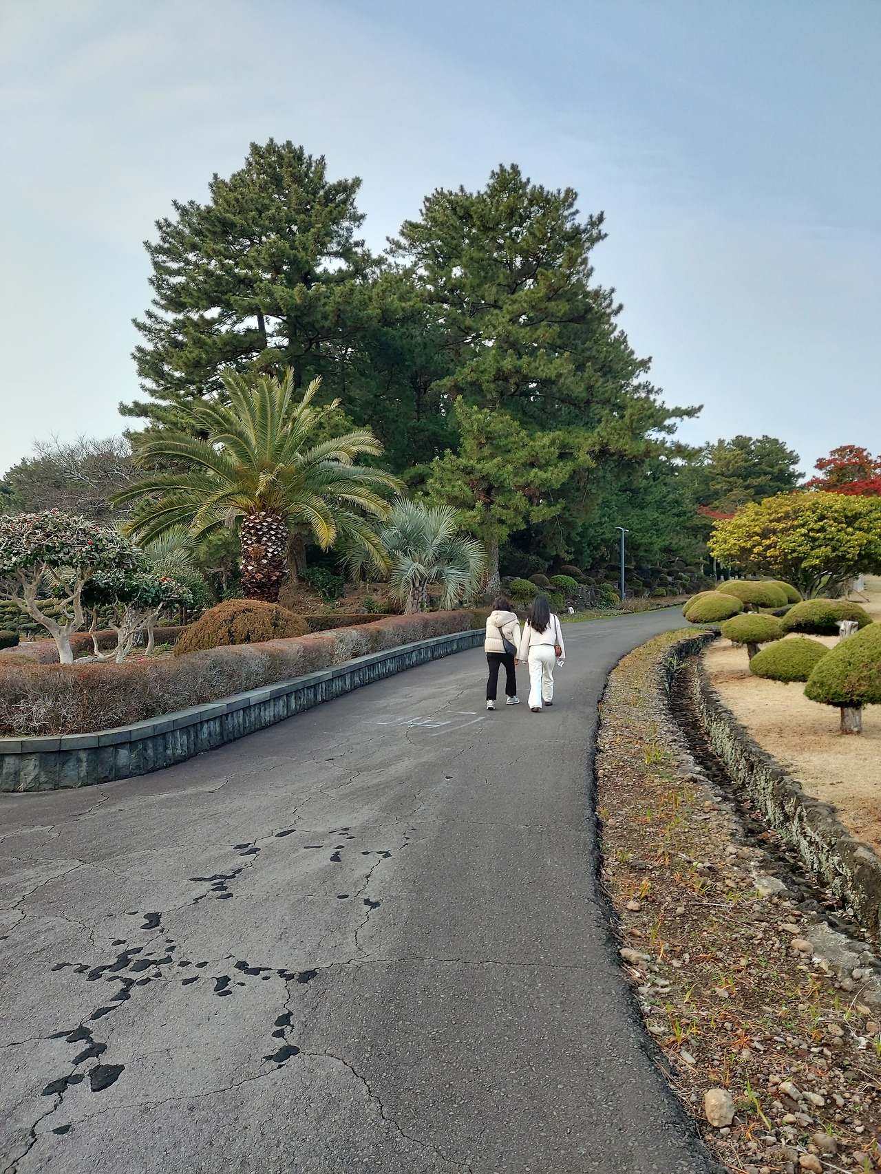 숙소 뒤 정원8.jpg