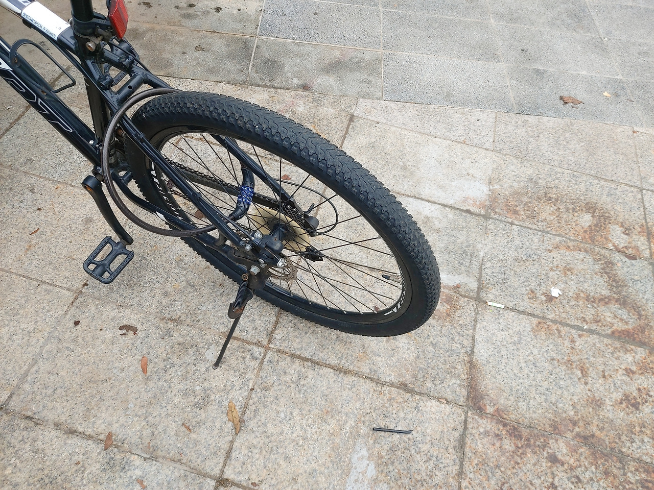 2. 20231206_121716.jpg