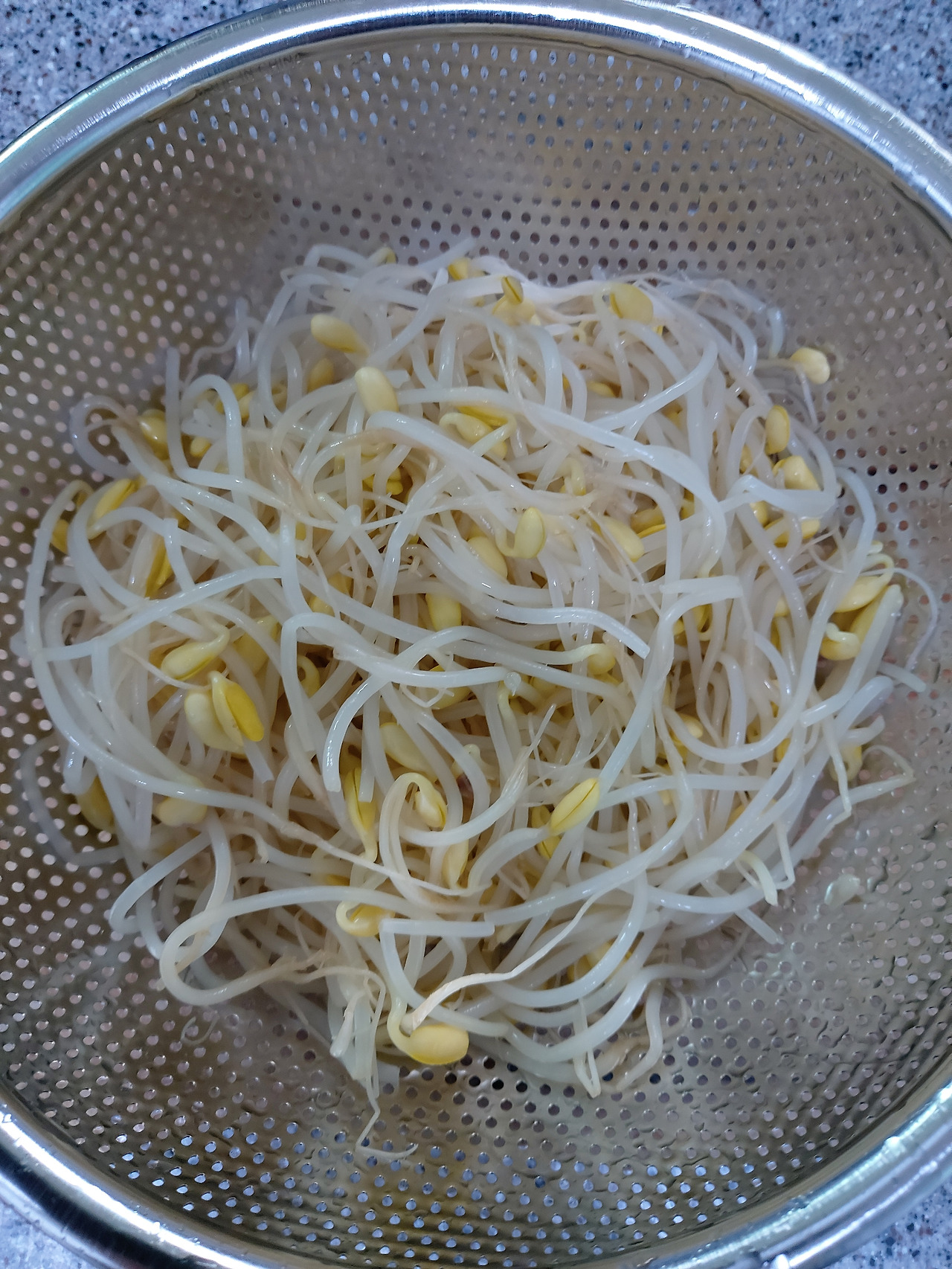 15-4. 살짝 데친 콩나물 20240825_180117.jpg