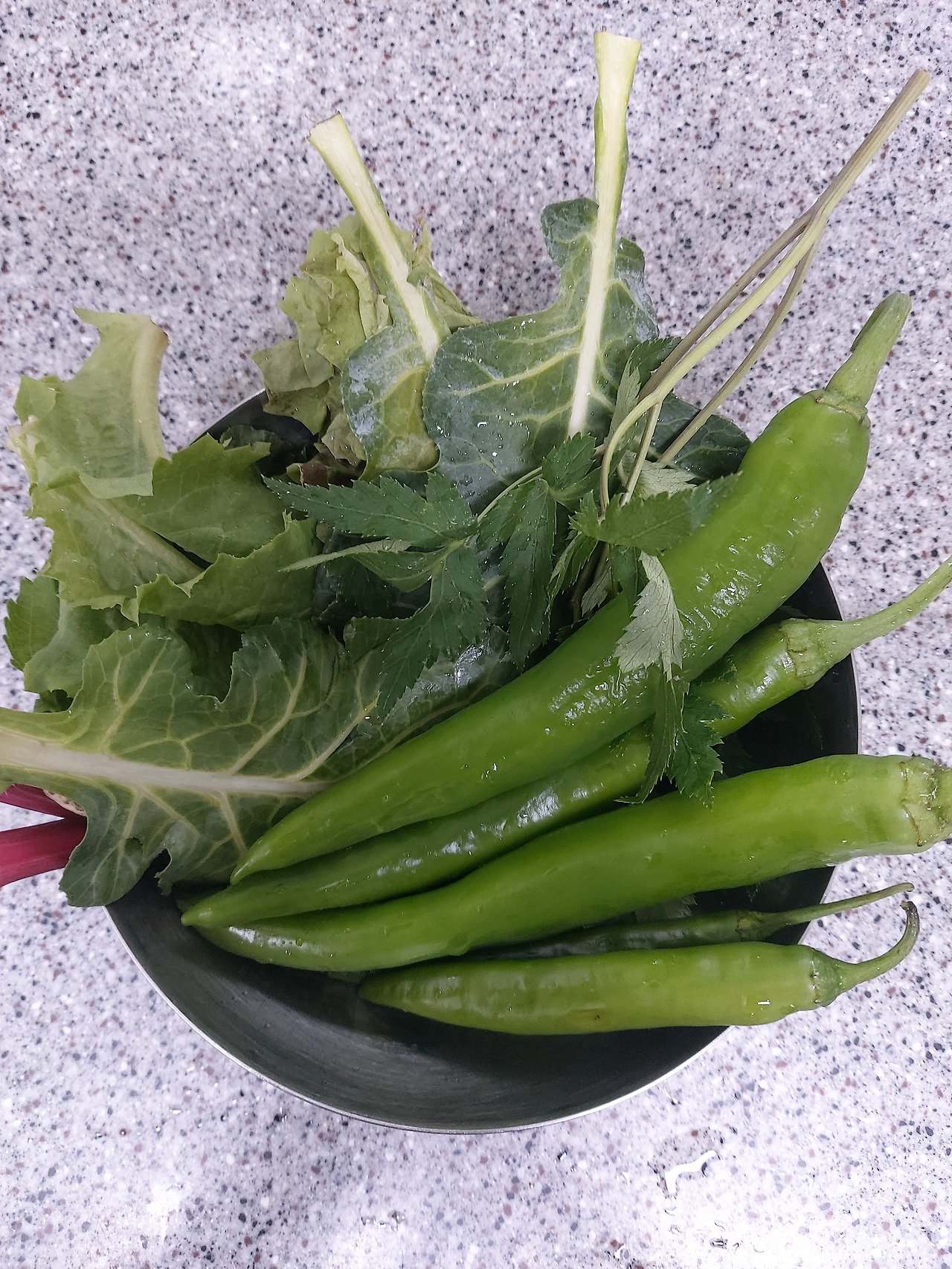 33-5. 고기를 싸서 먹는 쌈 채소와 오이고추 20240810_183011.jpg