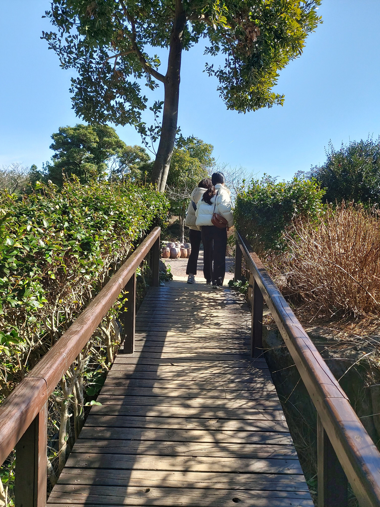 휴애리 휴양림3 20230303_104107.jpg